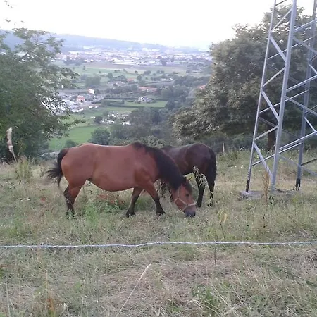 Konukevi Casa Velarde Torrelavega