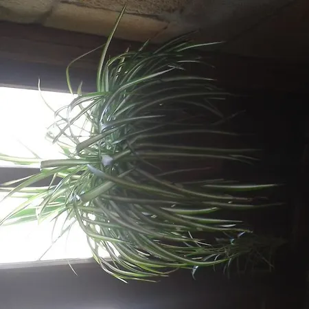 Konukevi Casa Velarde 3*