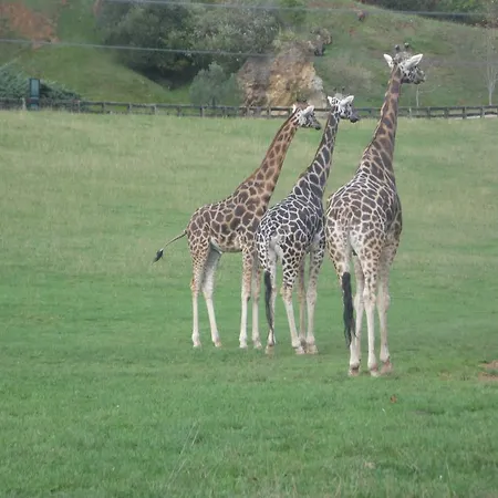 Konukevi Casa Velarde Torrelavega