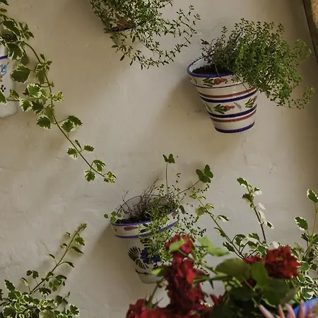 Casa Velarde Torrelavega