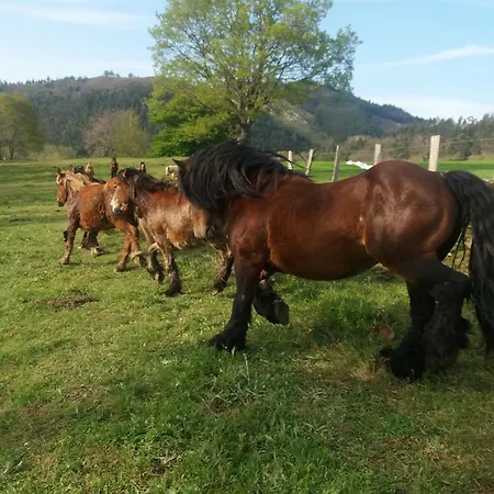 Konukevi Casa Velarde 3*