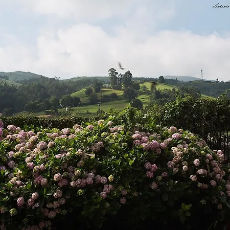 Casa Velarde Torrelavega