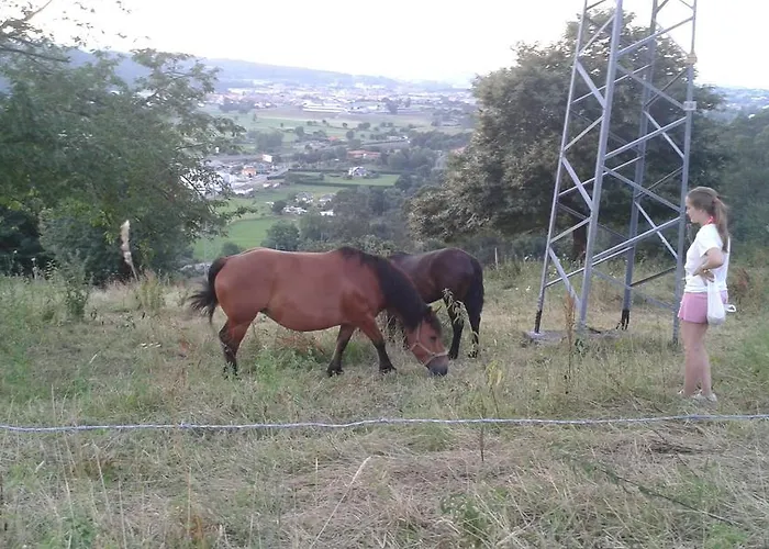 招待所 卡萨威拉德旅馆 托雷拉韦加