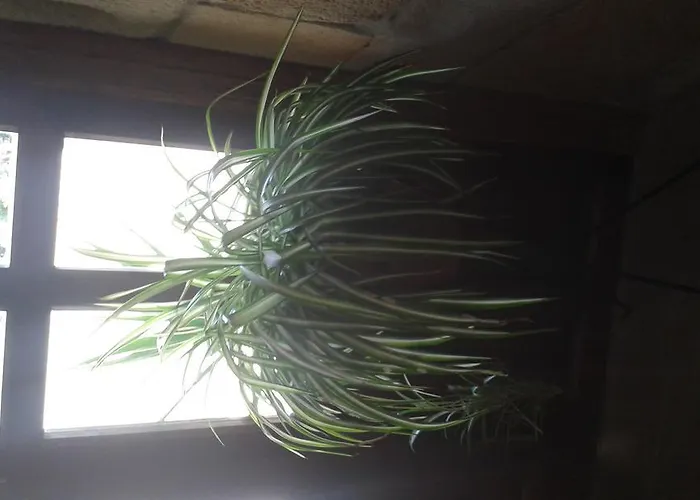 Pensjonat Casa Velarde 3*