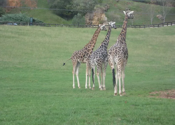 招待所 卡萨威拉德旅馆 托雷拉韦加