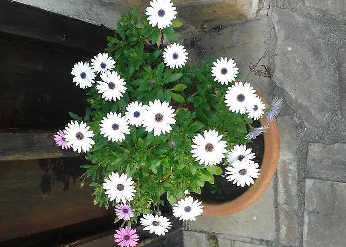 卡萨威拉德旅馆 托雷拉韦加