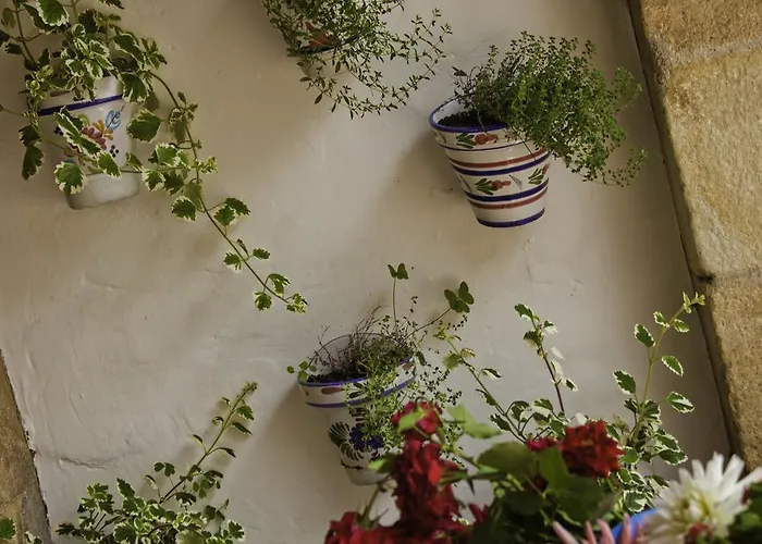 卡萨威拉德旅馆 托雷拉韦加