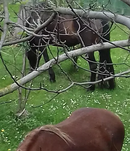 卡萨威拉德旅馆 3*