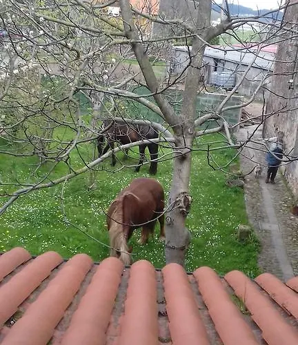 Casa Velarde 3* 토렐라베가