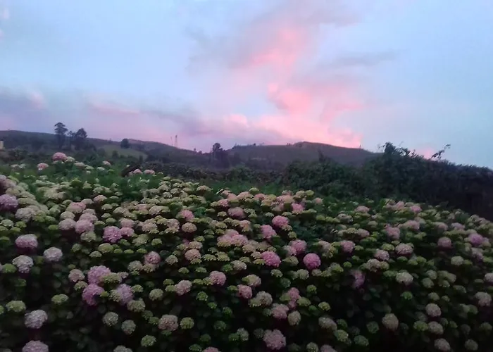 卡萨威拉德旅馆 招待所