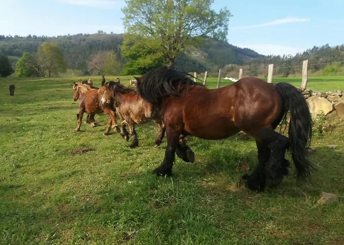 게스트하우스 Casa Velarde 3*