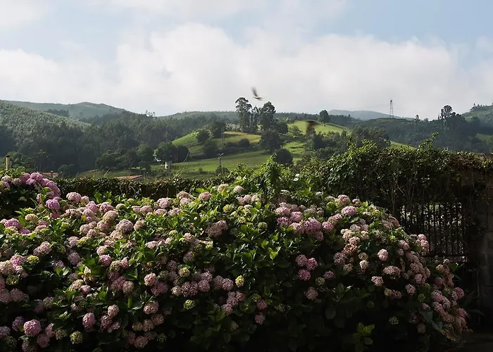 Casa Velarde 토렐라베가